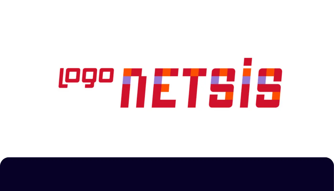 netsis muhasebe programı